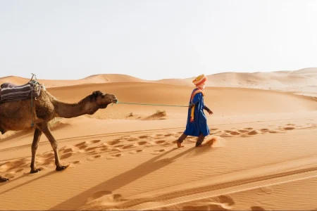 Discover Morocco’s Magic: A Journey Through the Sahara