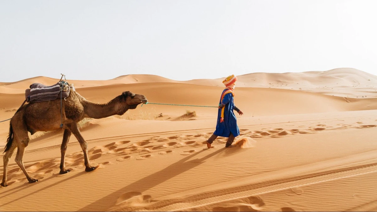 Discover Morocco’s Magic: A Journey Through the Sahara